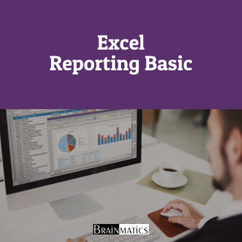 1 Day Online Training: Excel Reporting Basic