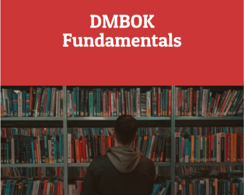 DMBOK Fundamentals