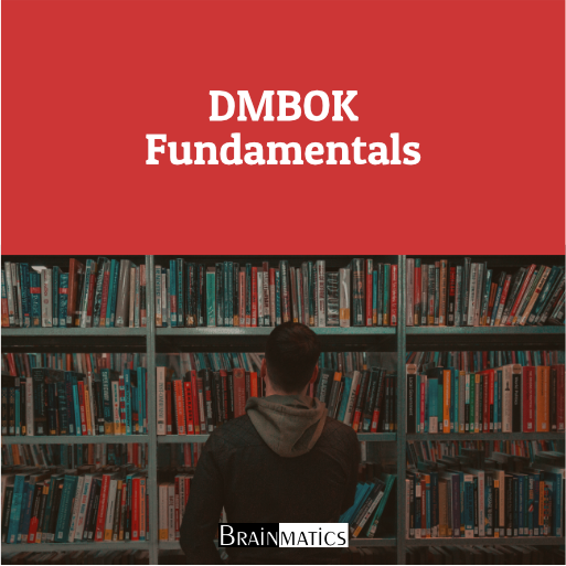 DMBOK Fundamentals