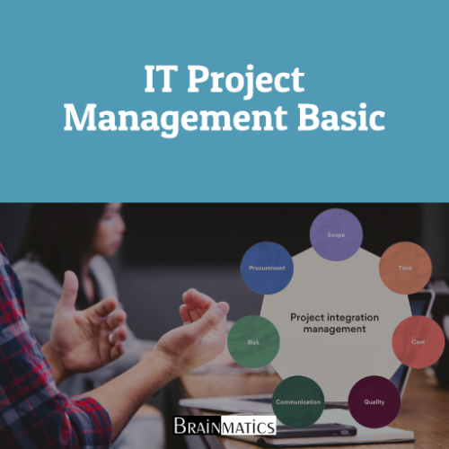 1 Day Online Training: IT Project Management Basic