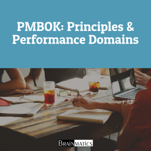 1 Hour Online Training PMBOK: Principles & Performance Domains