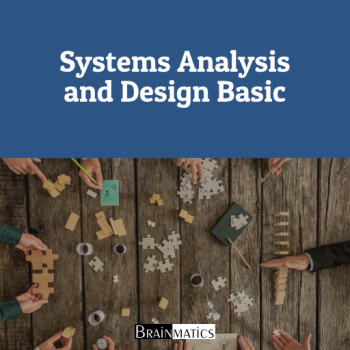 1 Day Online Training: Systems Analysis and Design Basic
