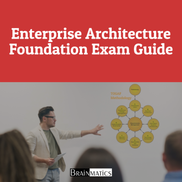 Enterprise Architecture TOGAF Foundation Exam Guide