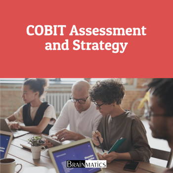 COBIT Assessment & Strategy