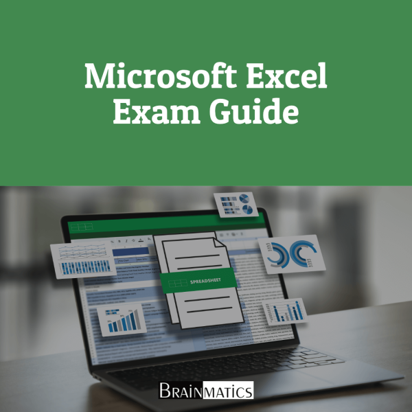 Microsoft Excel Exam Guide